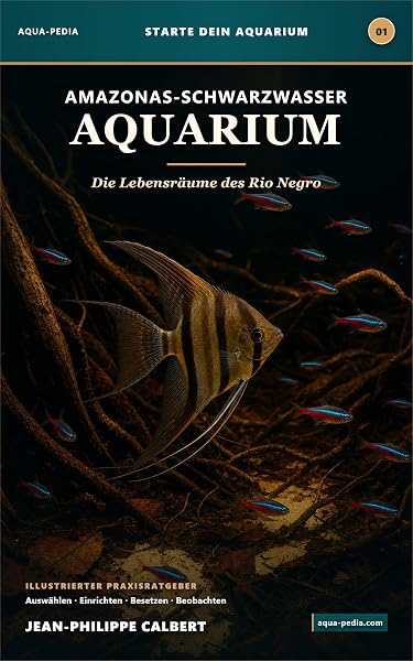 Amazonas-Schwarzwasseraquarium