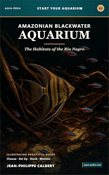Amazonian backwater aquarium