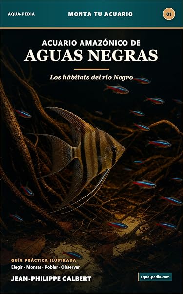 Acuario amazónico de aguas negras
