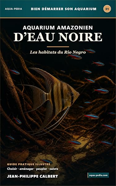 Bien démarrer son aquarium amazonien d'eau noire